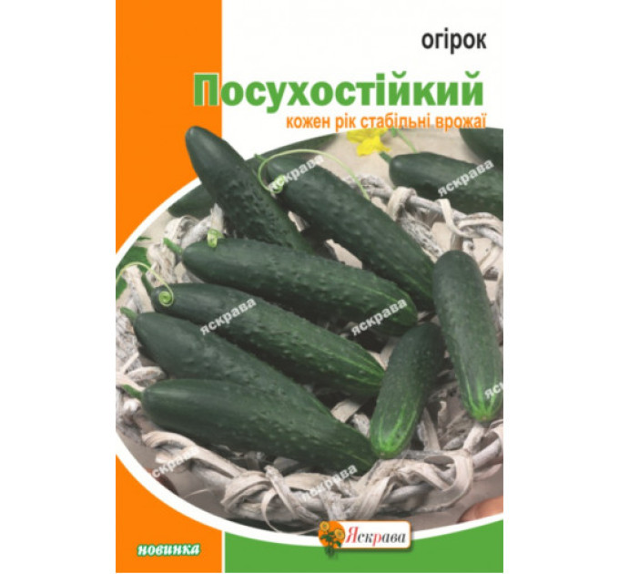 Огірок Посухостійкий 10г