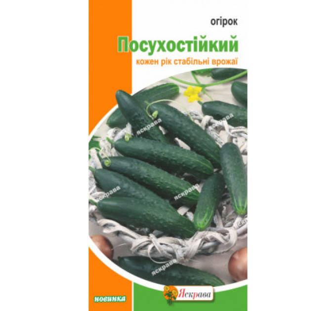 Огірок Посухостійкий 1г