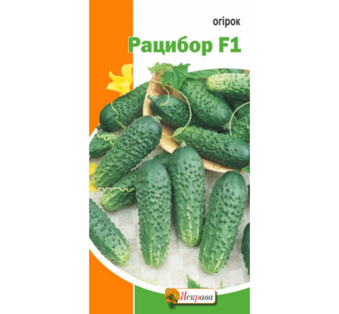Огірок Рацибор F1 0,5г