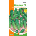 Огірок Сопліца F1 0,5г