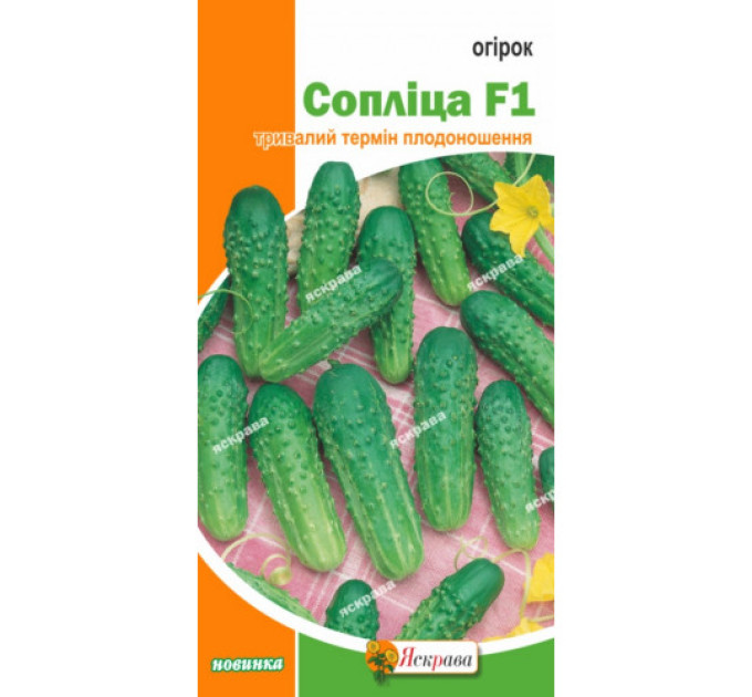 Огірок Сопліца F1 0,5г