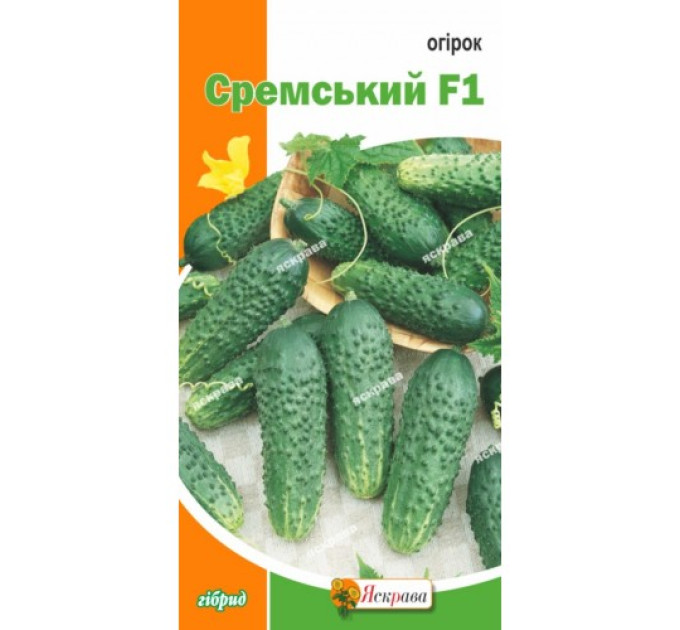 Огірок Сремський F1 0,5г
