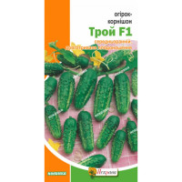 Огірок Трой F1  0,5г