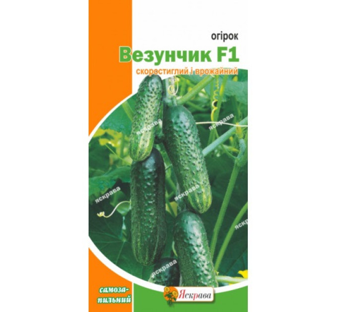 Огірок Везунчик  F1 0,3г / Україна  сп