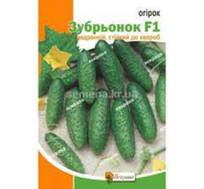 Огірок Зубрьонок F1 0,5г