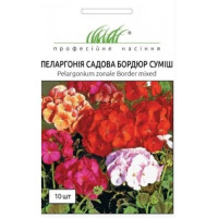 Пеларгонія садова Бордюр суміш 10 шт ПРОФ