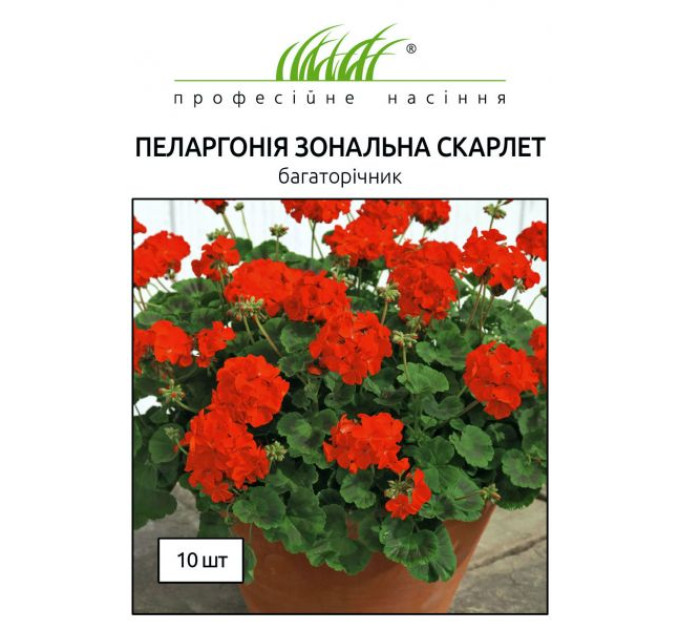 Пеларгонія зональна Скарлет 10 шт ПРОФ