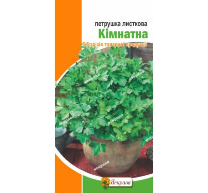 Петрушка листкова Кімнатна 2г