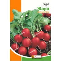 Редис Жара 10г