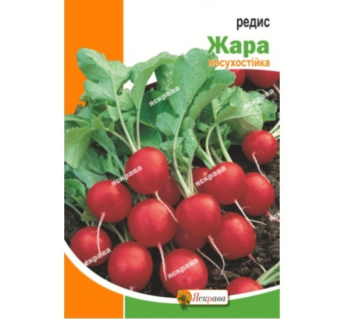 Редис Жара 10г
