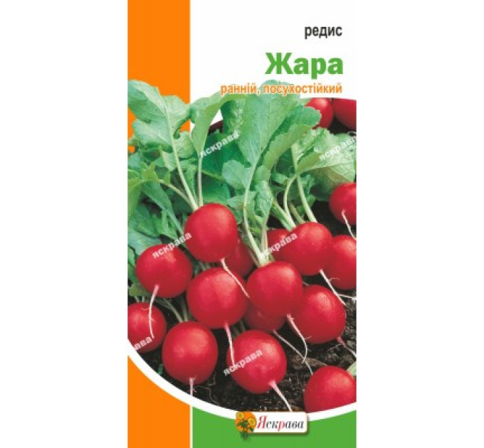 Редис Жара 3г