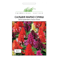 Сальвія блискуча Фарао суміш 0,1 г ПРОФ