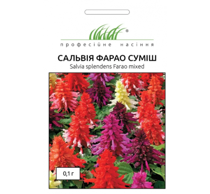 Сальвія блискуча Фарао суміш 0,1 г ПРОФ