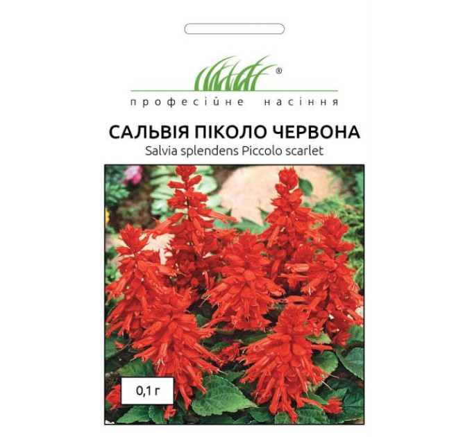 Сальвія блискуча Піколо червона 0,1 г ПРОФ