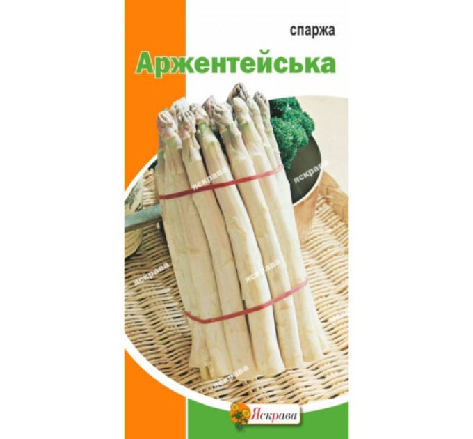 Спаржа Біла Аржентейська 1г