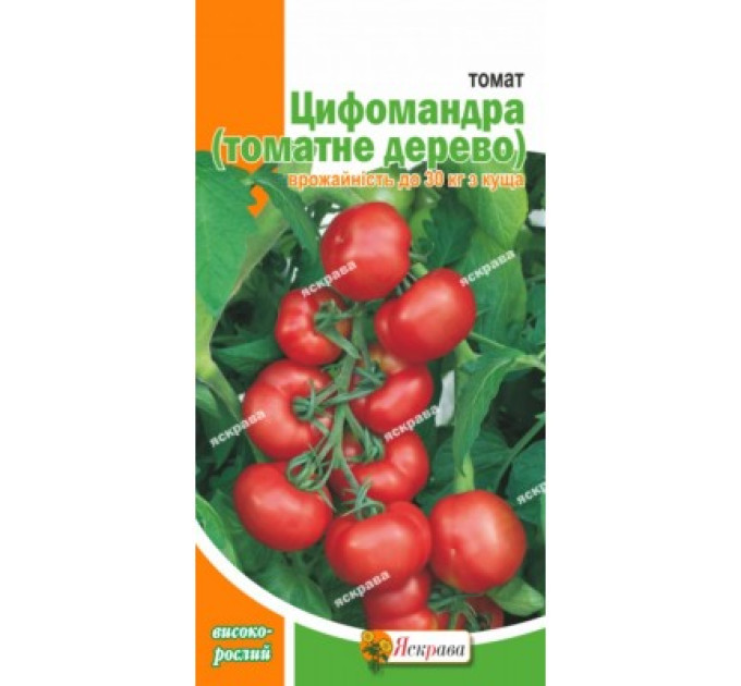 Томат Цифомандра (Томат дерево) 0,1г