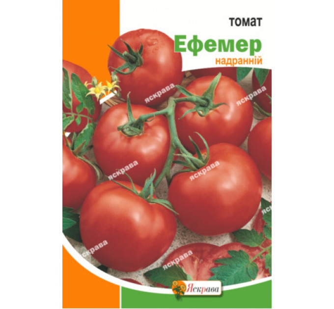 Томат Ефемер