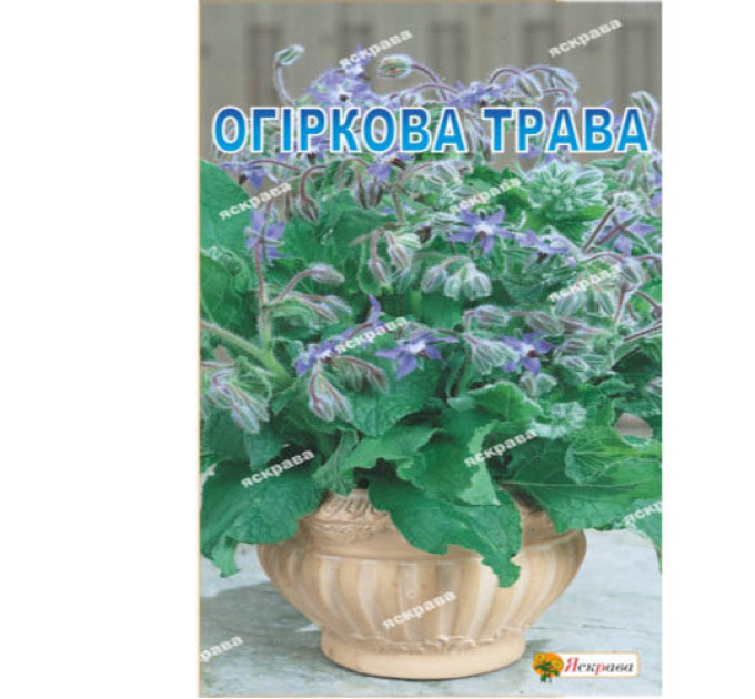 Трави Огіркова трава 1г