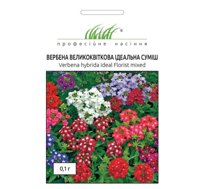 Вербена великоквіткова Ідеальна суміш 0,1 г ПРОФ