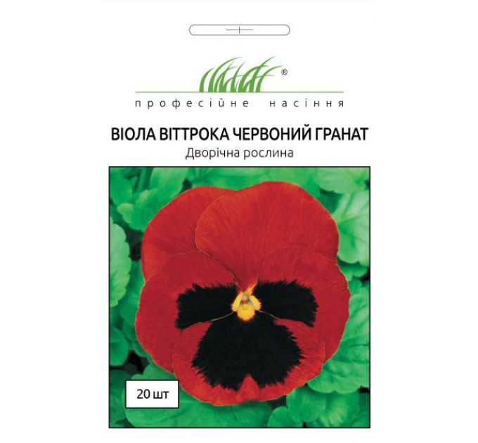Віола віттрока Червоний гранат 20 шт ПРОФ