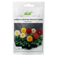 Жоржина махрова Фреско суміш 10 шт ПРОФ